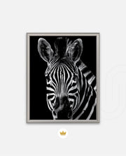 Zebra Portrait Black and White