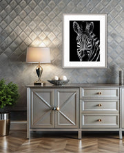 Zebra Portrait Black and White