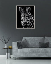 Zebra Portrait Black and White