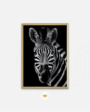 Zebra Portrait Black and White