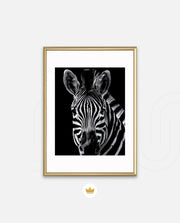 Zebra Portrait Black and White