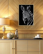 Zebra Portrait Black and White