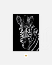 Zebra Portrait Black and White