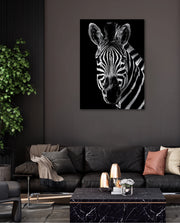 Zebra Portrait Black and White