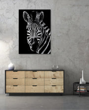 Zebra Portrait Black and White