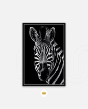Zebra Portrait Black and White