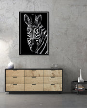 Zebra Portrait Black and White