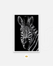 Zebra Portrait Black and White