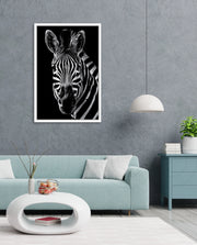 Zebra Portrait Black and White