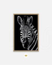 Zebra Portrait Black and White