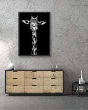 Giraffe Portrait Black and White