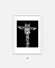 Giraffe Portrait Black and White