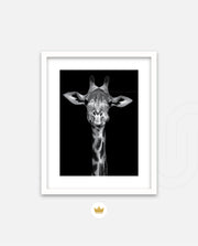 Giraffe Portrait Black and White