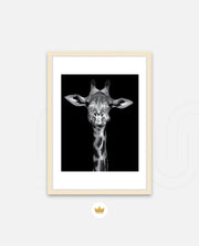 Giraffe Portrait Black and White