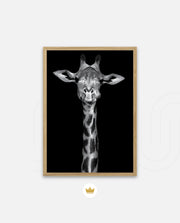 Giraffe Portrait Black and White