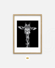 Giraffe Portrait Black and White