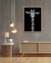 Giraffe Portrait Black and White