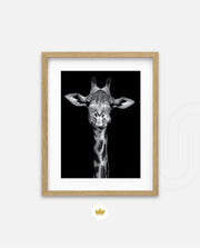 Giraffe Portrait Black and White