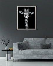 Giraffe Portrait Black and White