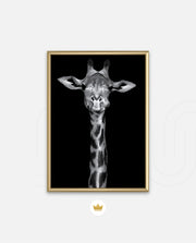 Giraffe Portrait Black and White