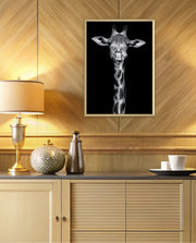Giraffe Portrait Black and White