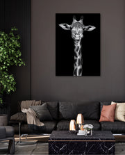 Giraffe Portrait Black and White