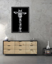 Giraffe Portrait Black and White