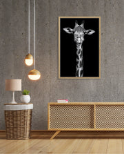 Giraffe Portrait Black and White