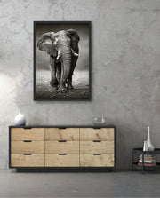 African Elephant Portrait