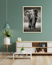 African Elephant Portrait