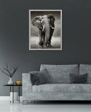 African Elephant Portrait