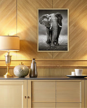 African Elephant Portrait