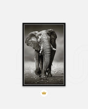 African Elephant Portrait