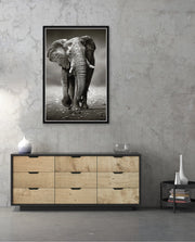 African Elephant Portrait