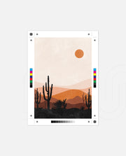 Sunset Cactus