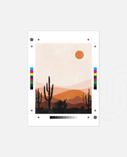 Sunset Cactus