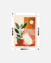 Sunlit Companion