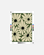Petal Rhythm