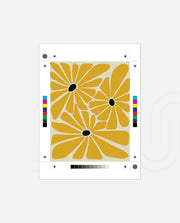 Sun Petals