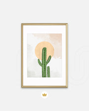 Desert Cactus Sun
