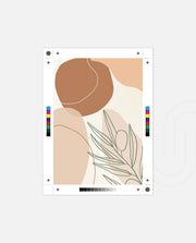 Olive Line Forms