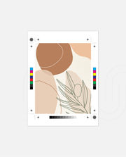 Olive Line Forms
