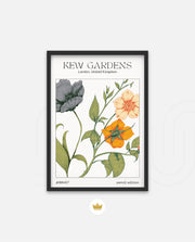 Kew Botanical Bloom