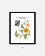 Kew Botanical Bloom