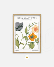 Kew Botanical Bloom