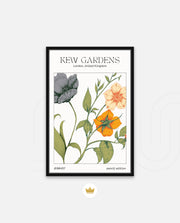 Kew Botanical Bloom