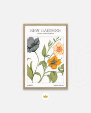 Kew Botanical Bloom