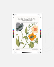 Kew Botanical Bloom