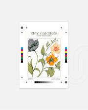 Kew Botanical Bloom