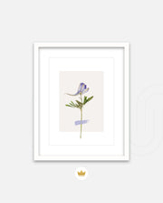 Minimal Botanic Stem